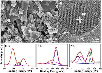 Sustained Biotic-Abiotic Hybrids Methanogenesis Enabled Using Metal-Free Black Phosphorus/Carbon Nitride